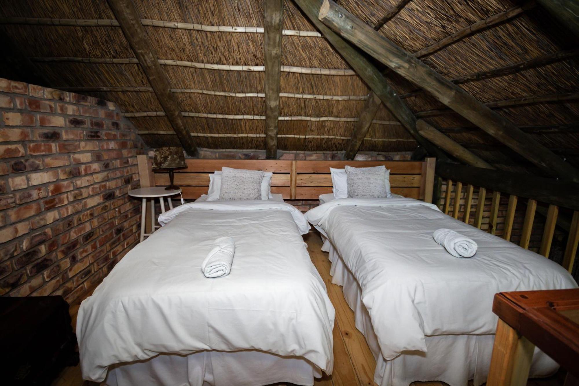 Tarantula Guest House Calvinia 외부 사진