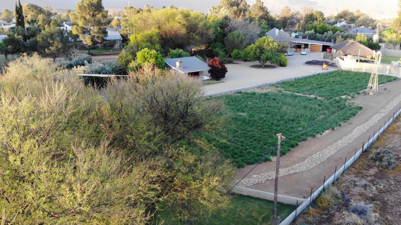 Tarantula Guest House Calvinia 외부 사진