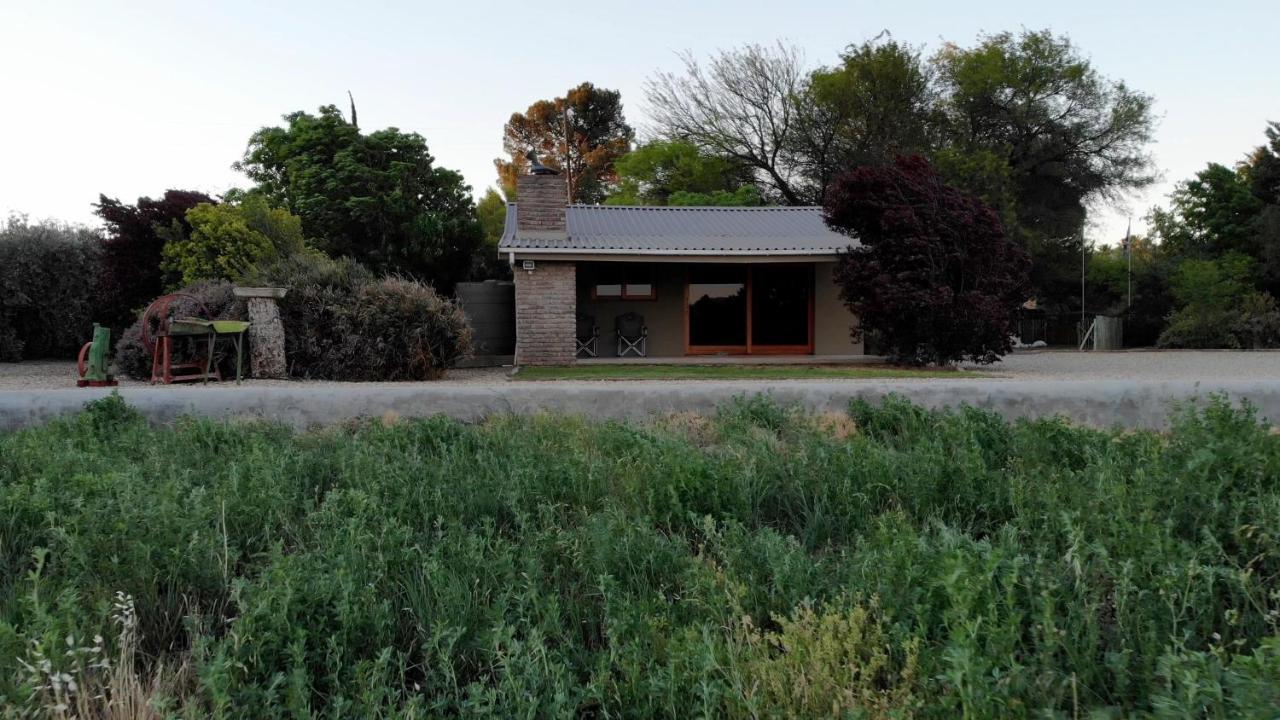 Tarantula Guest House Calvinia 외부 사진