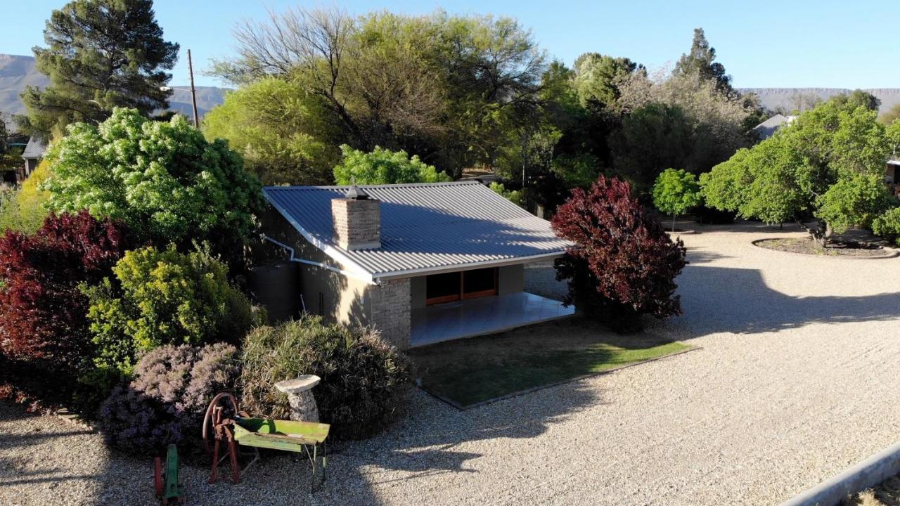 Tarantula Guest House Calvinia 외부 사진